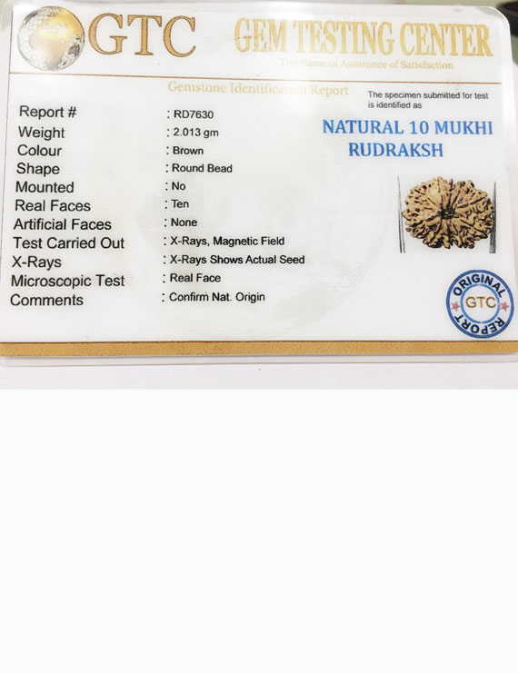 10 Mukhi Certified Rudraksha (Nepal Origin) Size 18mm